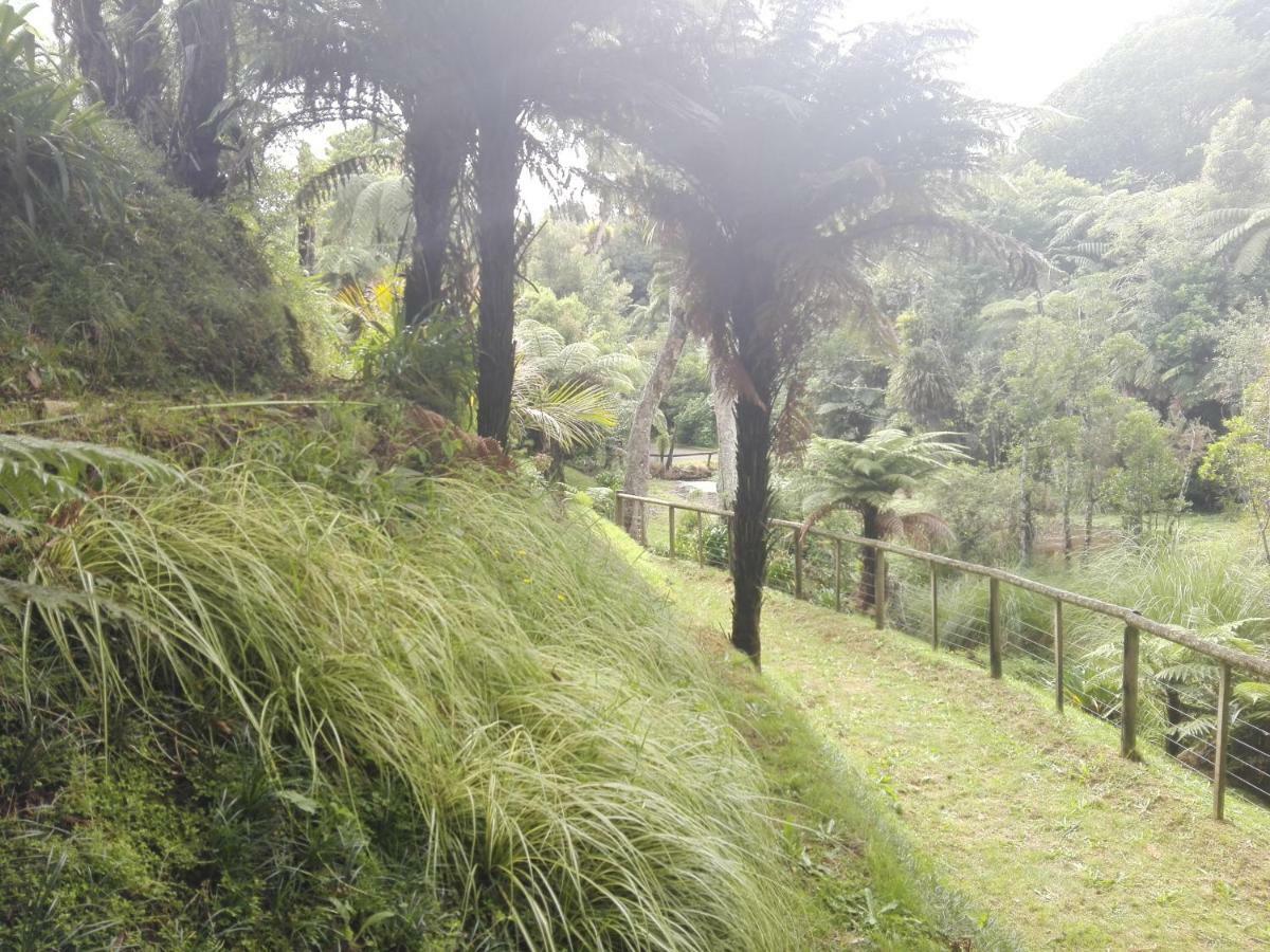 Taranaki Experience Apartamento New Plymouth Exterior foto
